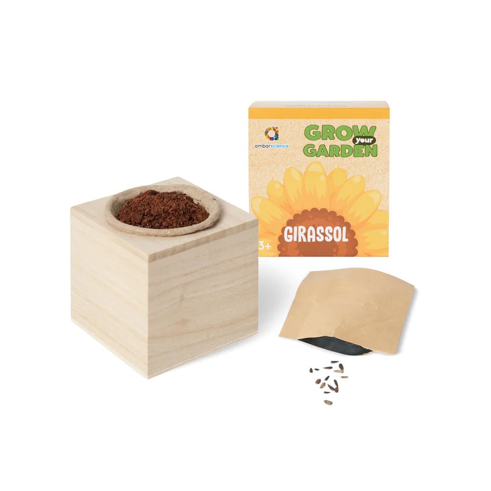 Bluepixel Equipamentos e Serviços Informáticos Lda | Grow Your Garden Girassóis - Sementes para Jardinagem e Floração Ambarscience Ecossistema