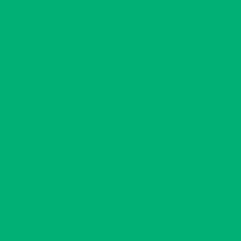 Bluepixel Equipamentos e Serviços Informáticos Lda | Cartolina Verde Hortelã 50x65cm 240g - 25 Folhas Canson Canson Cartolinas