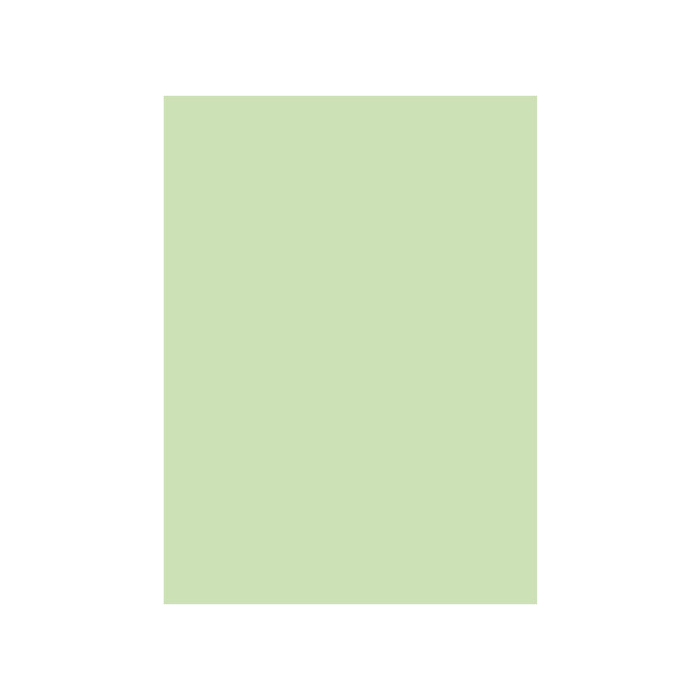 Bluepixel Equipamentos e Serviços Informáticos Lda | Cartolina A4 Verde CLA 3 250g - Papel de Alta Qualidade Neutral Cartolinas