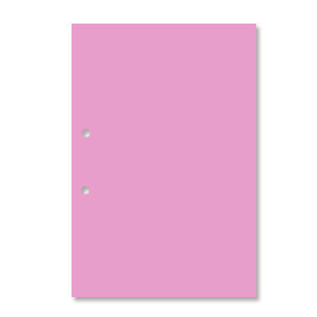 Bluepixel Equipamentos e Serviços Informáticos Lda | Cartolina A4 Rosa com Furos - 250g, 1 Folha Neutral Cartolinas