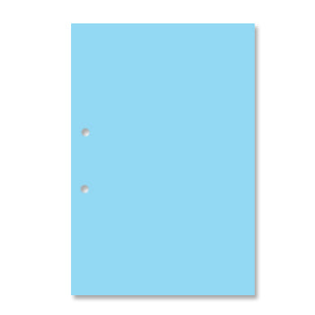 Bluepixel Equipamentos e Serviços Informáticos Lda | Cartolina A4 com Furos Azul 250g - 1 Folha para Projetos e Artes Neutral Cartolinas