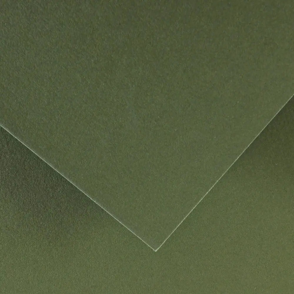 Cartolina verde Safari Canson, 50x65cm, 240g, pacote com 25 folhas para artesanato e projetos escolares.