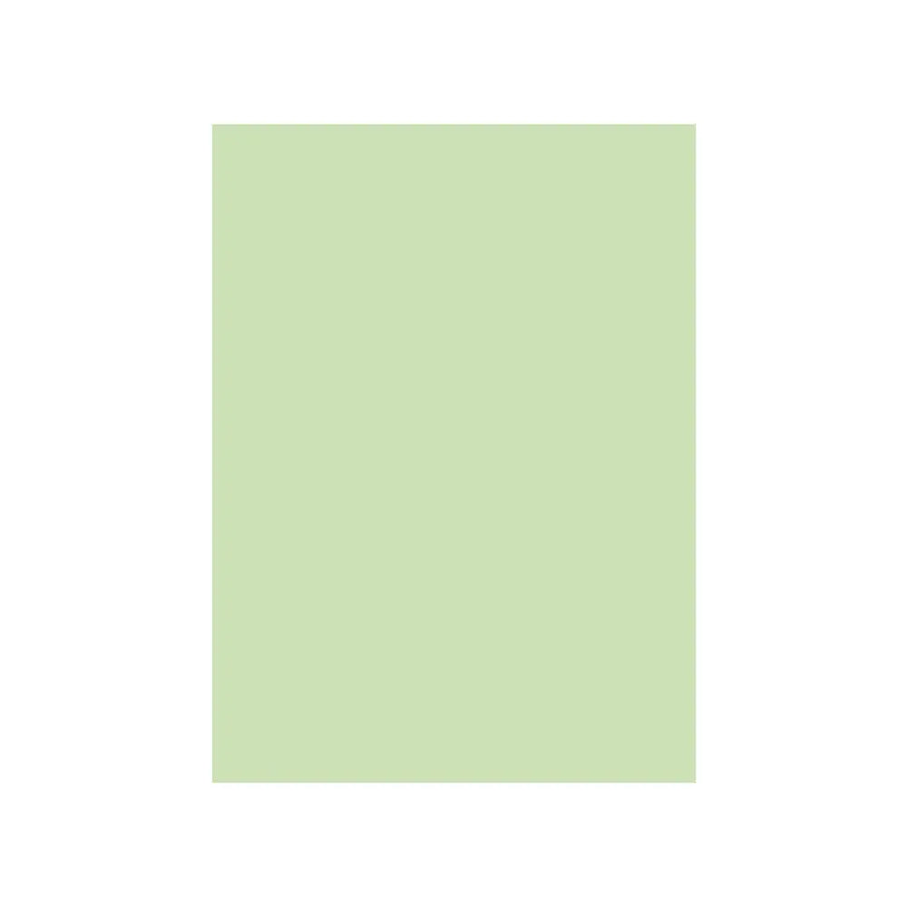 Cartolina verde A4 Neutral, 250g, 125 folhas, ideal para artes e projetos escolares ou criativos