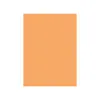 Cartolina Laranja Suave 50x65cm 180g - Produto de Alta Qualidade na bluepixel.pt