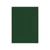 Cartolina Verde Oliva/Pinho 50x65cm 180g - Ideal para Artesanato e Projetos Criativos | bluepixel.pt