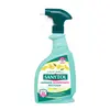 Detergente Desinfetante Multiusos Limão Sanytol 750ml | Marca 411 na bluepixel.pt