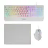 Combo Gaming 3 em 1: Teclado RGB H-MECH, Rato 3200DPI com Switches Huano e Tapete 360x260mm | Marca 519