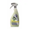 Detergente Desengordurante Cif PF Forte 750ml | Limpeza Profunda na Loja BluePixel.pt