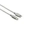 Cabo USB-A 2.0 Macho/Macho 1,50m marca 237 | Loja BluePixel