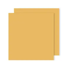 Cartolina Canson 50x65cm Couro 240g - 25 Folhas | Loja BluePixel