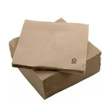 Guardanapos Reciclados GC Nature P&P 33x33 2Fls - Embalagem com 50 unidades | Loja online bluepixel.pt