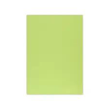 Cartolina Verde Lima 50x65cm 250g - Ideal para Artesanato e Projetos | bluepixel.pt