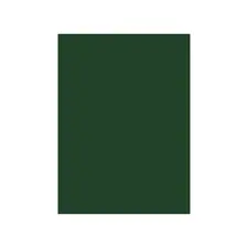 Cartolina Verde Oliva/Pinho 50x65cm 180g - Ideal para Artesanato e Projetos Criativos | bluepixel.pt