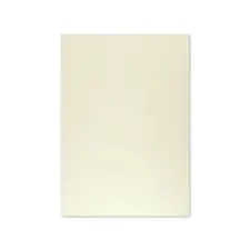 Cartolina A4 Cinzento 180g Marca 320 - 125 Folhas | Loja BluePixel