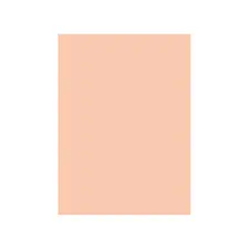 Cartolina A4 Salmão 250g - 100 Folhas | Marca 320 | Loja BluePixel