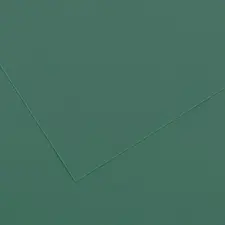 Cartolina Verde Amazonas 50x65cm 185g - Papel de Alta Qualidade Canson | bluepixel.pt