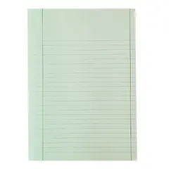 Caderno Papel Almaço A4 Pautado Azul Marca 320 | Material Escolar de Qualidade