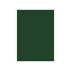 Cartolina Verde Oliva/Pinho 50x65cm 180g - Ideal para Artesanato e Projetos Criativos | bluepixel.pt