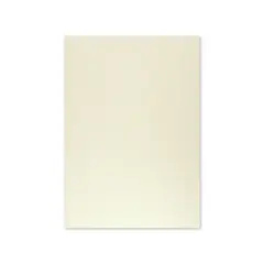 Cartolina Cinzenta 50x65cm 250g - Papel de Alta Qualidade para Projetos | bluepixel.pt