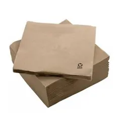 Guardanapos 33x33 Reciclados 2Fls Nature P&P marca 225 | Loja online bluepixel.pt