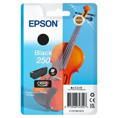 EPSON Singlepack Black 250 ink