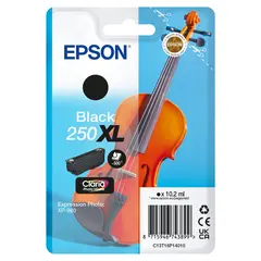 EPSON Singlepack Black 250XL ink