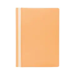 Classificador Capa Transparente Pêssego Pastel 1un