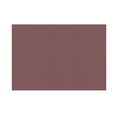 Toalhas Mesa TNT 30x40cm 55g Chocolate 250un
