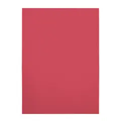 Encadernação em Acetato Vermelho Transparente A4 200 Microns - Marca 217 | BluePixel