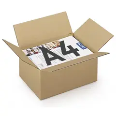 Caixa Cartão Simples 312x225x152mm (0,0106m3)- 25un