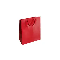 Saco 18x08x25cm Papel Couché  200g c/Asas Cordão Verme 1un