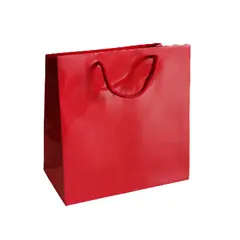 Saco 35x12x36cm Papel Couché 200g c/Asas Cordão Vermelho 1un