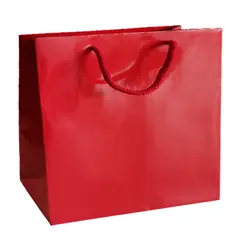 Saco 54x13x44cm Papel Couché 200g c/Asas Cordão Vermelho 1un