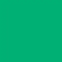 Cartolina 50x65cm Verde Hortelã 240g 25 Folhas Canson
