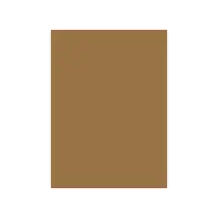 Cartolina A4 Castanho Terra 10T 180g 125 Folhas