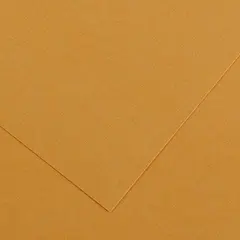 Cartolina 50x65cm Couro 185g 1 Folha Canson