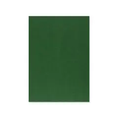 Cartolina A4 Verde Escuro 3C 250g 125 Folhas