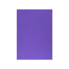 Cartolina A4 Violeta/Roxo 7V 250g 125 Folhas