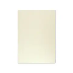 Cartolina A4 Cinzento 9 250g 125 Folhas