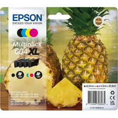 EPSON 1LB Multipack 4colours 604XL Ink w/s