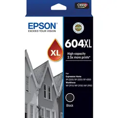 EPSON 4LB Singlepack Black 604XL Ink w/s