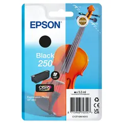 EPSON Singlepack Black 250 ink