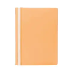 Classificador Capa Transparente Pêssego Pastel 1un