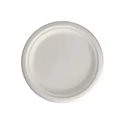 Pratos 26cm Cana de Açucar Cor Natural 50un