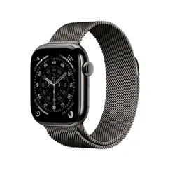 APPLE WATCH SERIES 11 GPS + CELLULAR 46MM SLATE TITANIUM CASE WITH SLATE MILANESE LOOP - M/L