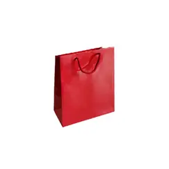 Saco 18x08x25cm Papel Couché  200g c/Asas Cordão Verme 1un