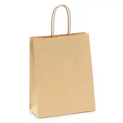 Saco 27x16x31cm Papel 115g c/Asas Kraft 1un