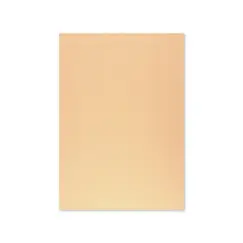 Cartolina 50x65cm Papaia 6 180g 1 Folha