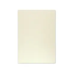 Cartolina 50x65cm Cinzento 9 180g 1 Folha