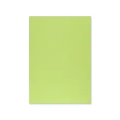 Cartolina 50x65cm Verde Lima 3N 250g 1 Folha